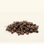 Nagarmotha Essential Oil