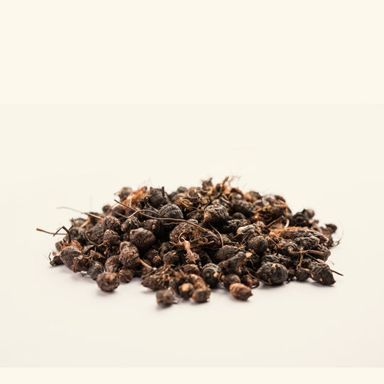 Nagarmotha Essential Oil