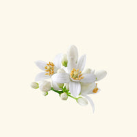 Neroli Fragrance Oil