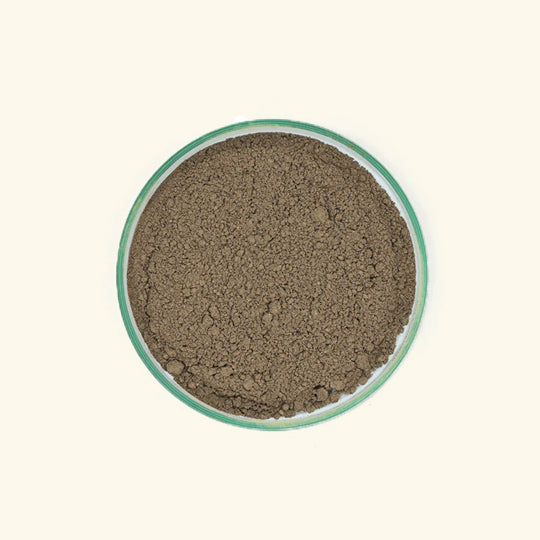 Noni Powder