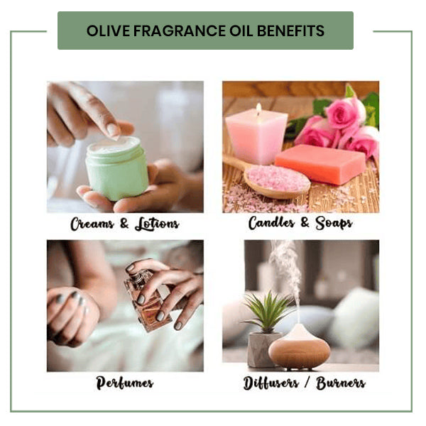 Olive Fragrance Oil
