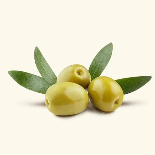 Olive Massage Oil