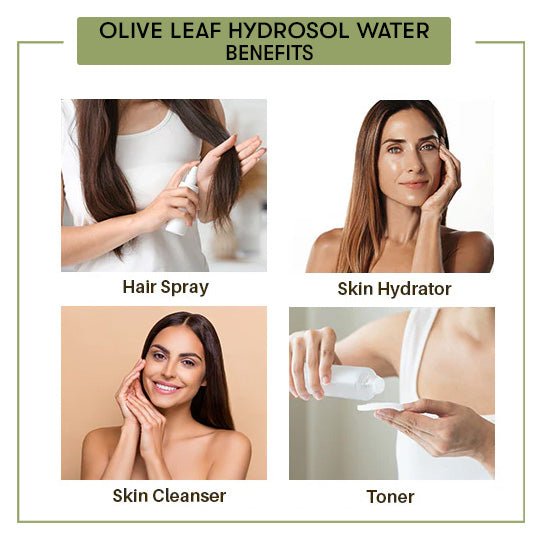 Olive Leaf Hydrosol