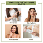 Olive Leaf Hydrosol