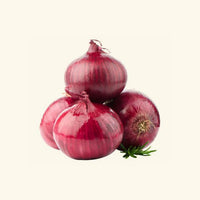 Onion Liquid Extract