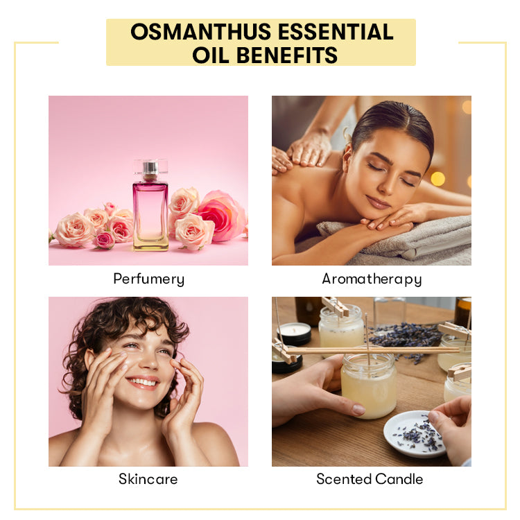 Osmanthus Essential Oil Benefits