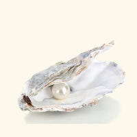 Pacific Ocean Pearl Fragrance Oil