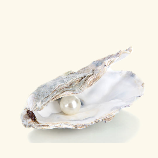 Pacific Ocean Pearl Fragrance Oil