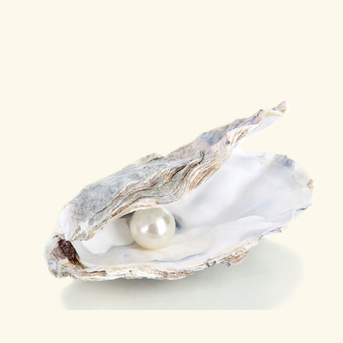 Pacific Ocean Pearl Fragrance Oil