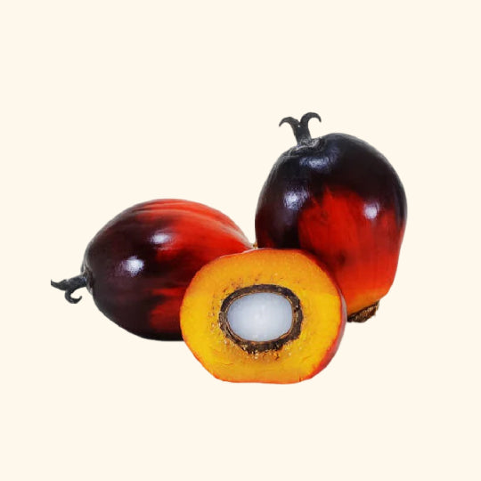Palm Kernel Oil