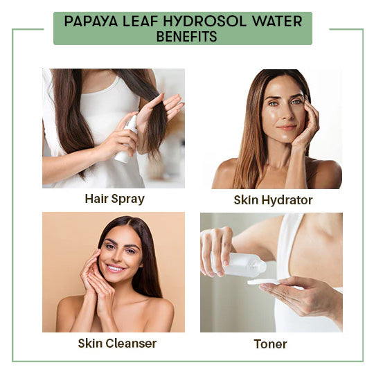 Papaya Leaf Hydrosol