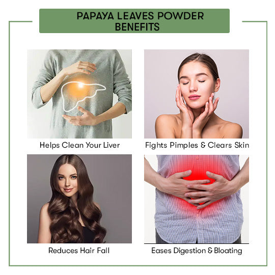 Papaya Leaves Powder Benefits