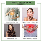 Papaya Leaves Powder Benefits