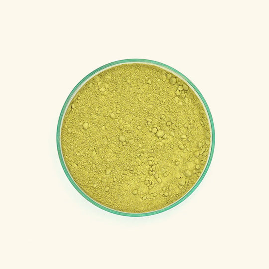 Papaya Leaves Powder Bulk Supplier