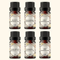 Designer Fragrances Sample Kit - 10 Ml Each