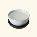 Polyacrylate-2 Crosspolymer Fixate