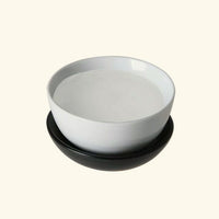Polyacrylate-2 Crosspolymer Fixate