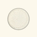 Potassium Sorbate