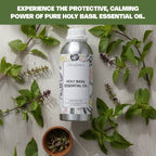 Pure Holy Basil Essential Oil