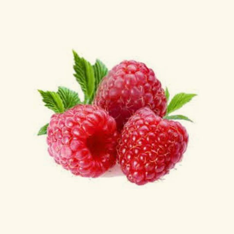 Raspberry Flavor Oil