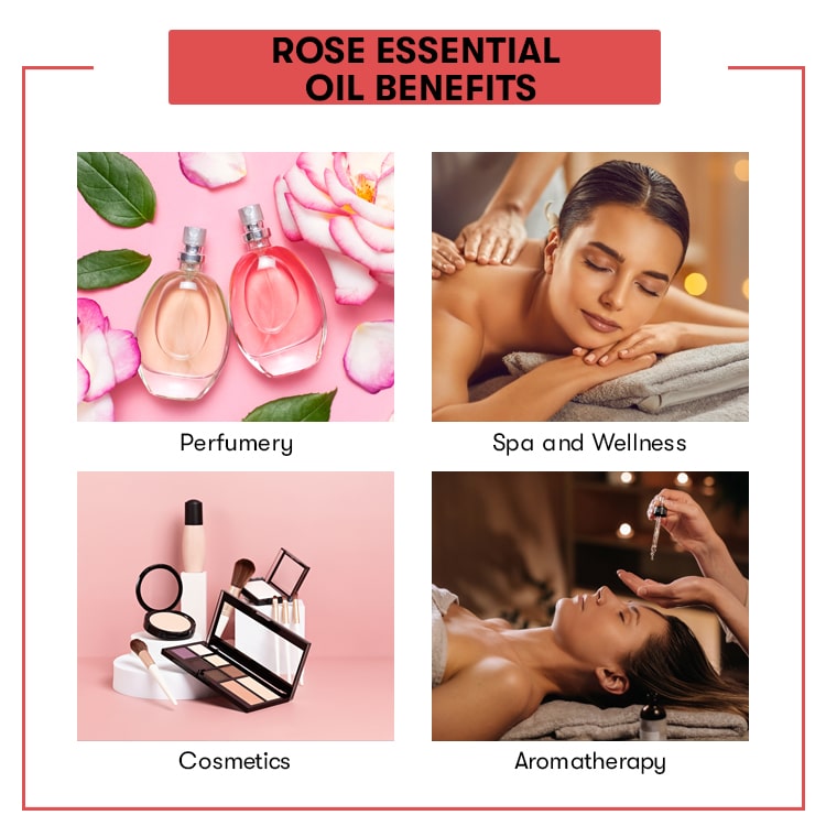 Rose Essential Oil Benefits