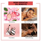 Rose Essential Oil Benefits