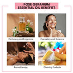 Rose Geranium Essential Oil Benefits
