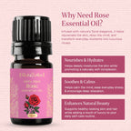 Rose Oil Uses Benefits