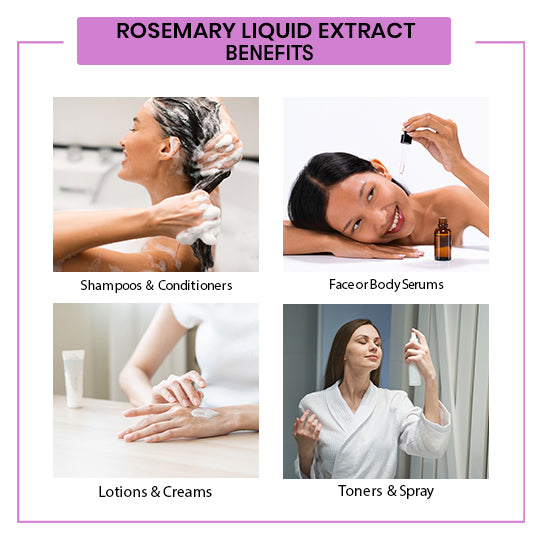 Rosemary Liquid Extract Benefits Image
