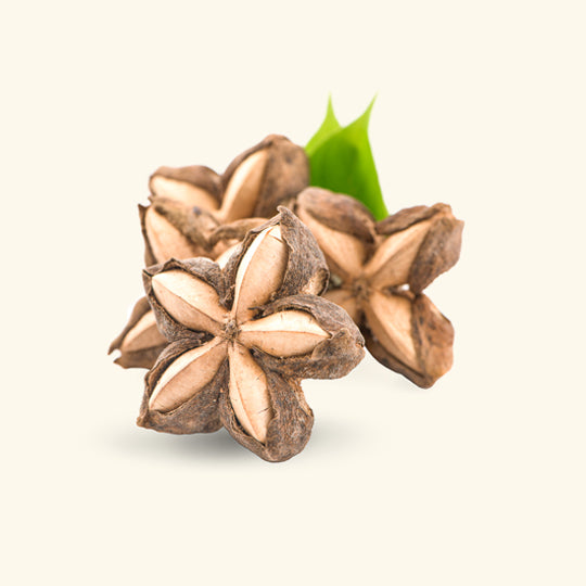 Sacha Inchi Oil
