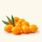 Sea Buckthorn Liquid Extract