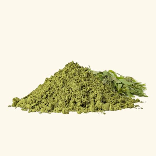 Senna Leaves Powder