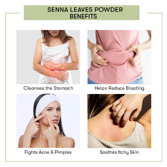 Senna Leaves Powder Benefits