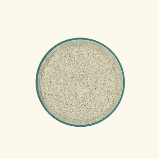 Shatavari Powder Bulk supplier