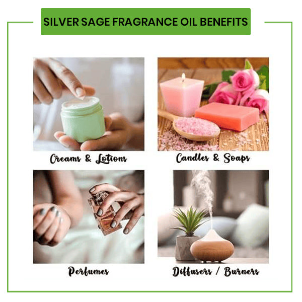 Silver Sage Fragrance Oil