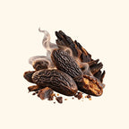 Smoked Tonka Fragrance Oil