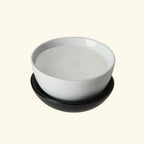 Sodium Lauryl Ether Sulphate (SLES)