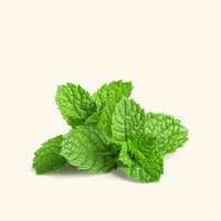 Spearmint Fragrance Oil