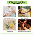 Spearmint Essential Oil Benefits