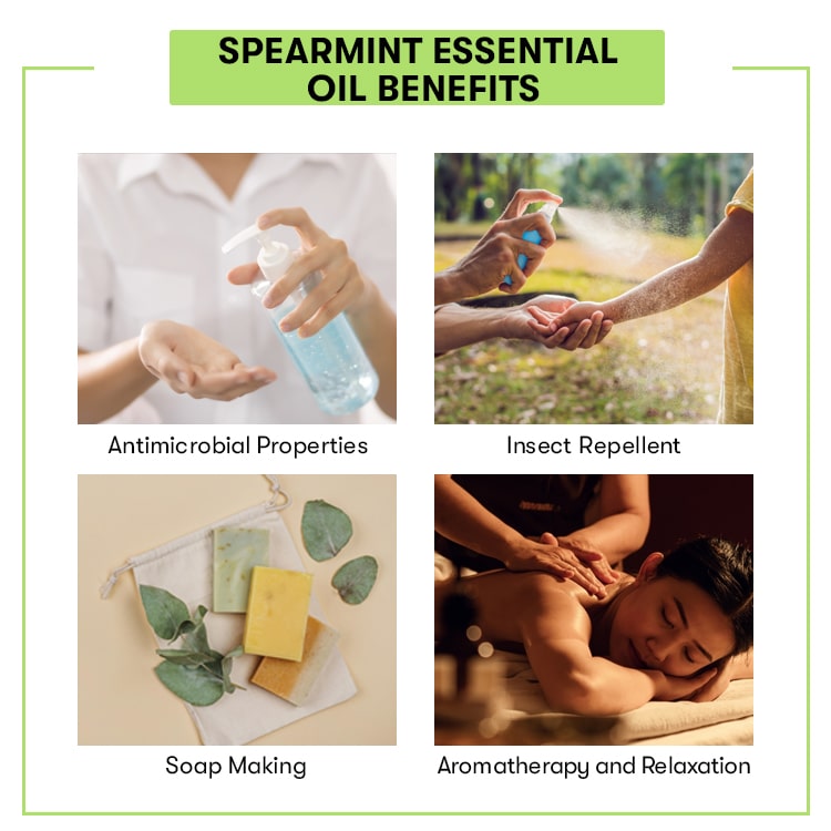 Spearmint Essential Oil Benefits