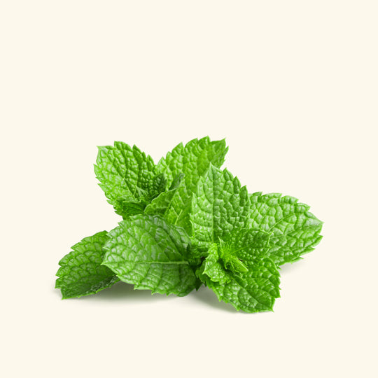 Peppermint Hydrosol