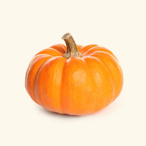 Spicy Pumpkin Flavor Oil