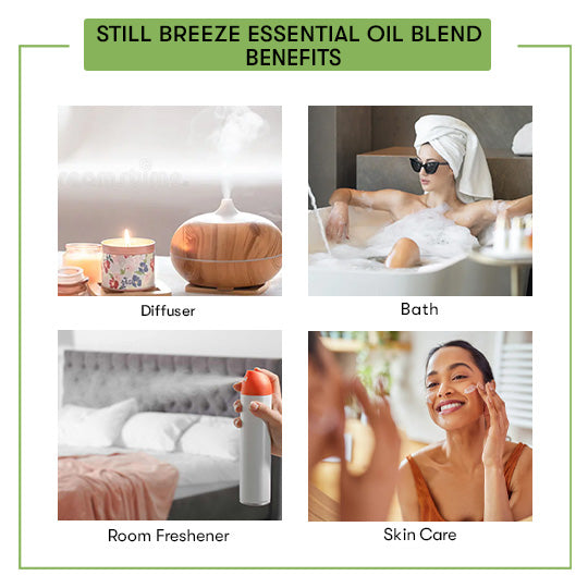 Still Breeze Essential Oil Blend Benefits