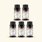 Summer Fragrance Oils Sample Kit 