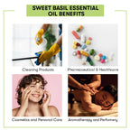 Sweet Basil Essential Benefits