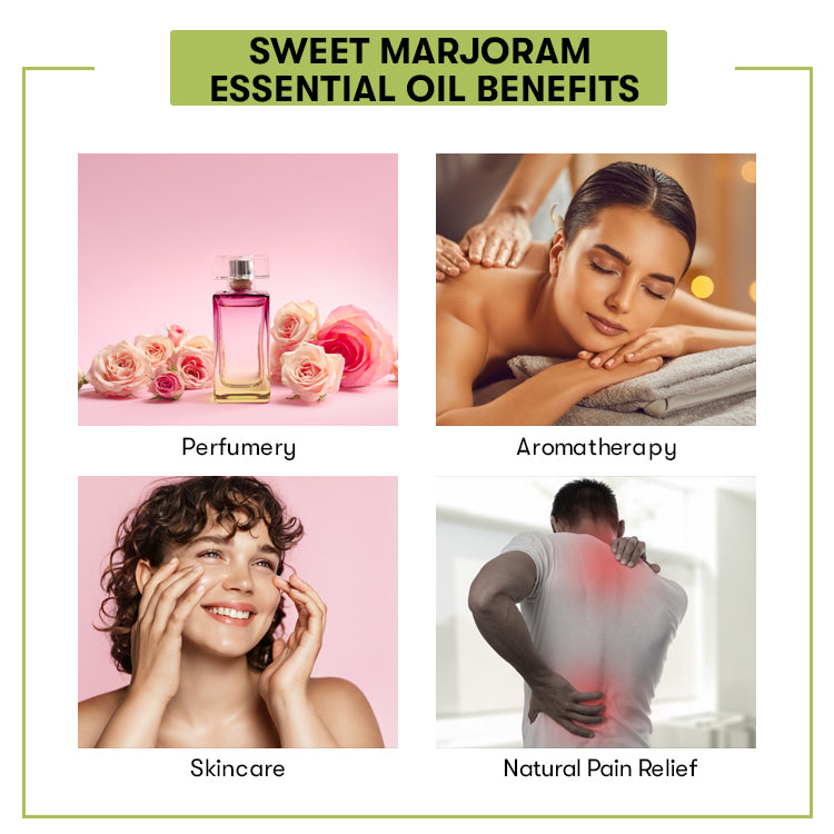 Sweet Marjoram Essential Oil Benefits