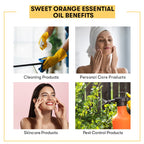 Sweet Orange Essential Oil Benefits
