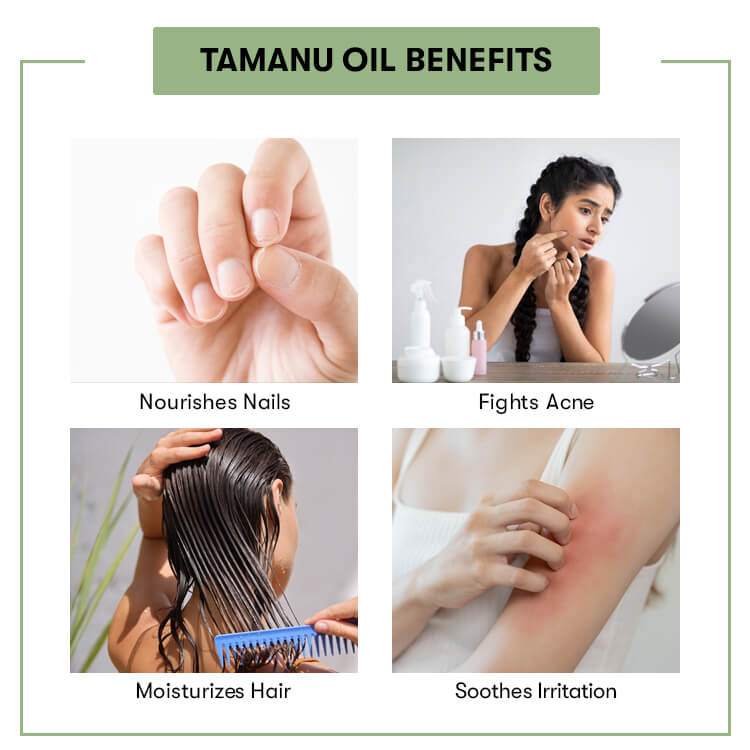 Tamanu Oil Benefits