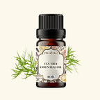 Beard Grooming Kit
