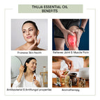 Thuja Essential Oil